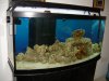 DSCN3141.JPG