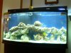 DSCN3184.JPG