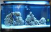 DSC05482_compress.JPG