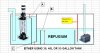 sump_fugium_3.JPG