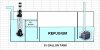 sump_refugium_4.JPG