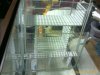 IMAGE_00079.jpg