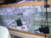 sump_fug1.jpg