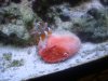 DSC02051.JPG