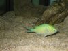 IMG_0111.JPG