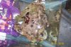 100_1672.jpg