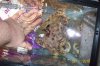 100_1673.jpg