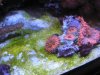 IMG_7887.jpg