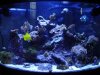 DSC01660.jpg