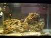 FTS 2.jpg