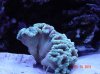 DSC03102.jpg