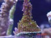 DSC03104.jpg