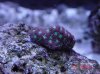 DSC03110.jpg