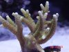 DSC03111.jpg