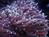 DSC03113.jpg