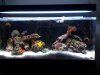 FTS.jpg