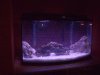 tank no flash 1.jpg