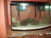 tank side view flash.jpg