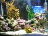 fts.jpg