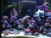 DSC00150.jpg
