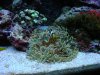 DSC00152.jpg