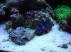 DSC00153.jpg