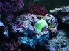DSC00154.jpg