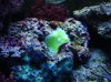 DSC00155.jpg