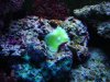 DSC00156.jpg