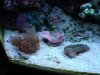 DSC00160.jpg