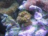 IMG_5232.jpg