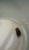 IMAG0046.jpg