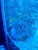 2010-02-25_20.54.05.jpg