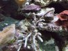PICT2712.jpg