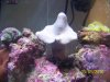 Picture 015.jpg