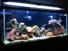 newtank10.jpg