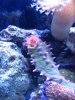 Tank 3-7-10 028.jpg