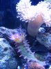 Tank 3-7-10 038.jpg