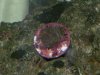 DSCN4645.jpg