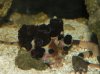 DSCN4649.jpg