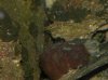 DSCN4647.jpg