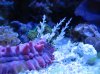 Mar122010_0005.jpg