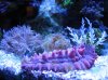 Mar122010_0006.jpg