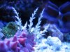 Mar122010_0009.jpg