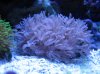 Mar122010_0010.jpg