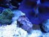 Mar122010_0015.jpg