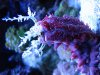 Mar122010_0016.jpg