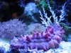 Mar122010_0012.jpg