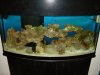 DSCN3261.JPG
