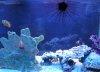 P1030589pt 2.jpg
